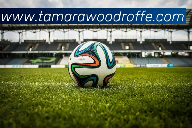 奖项证书